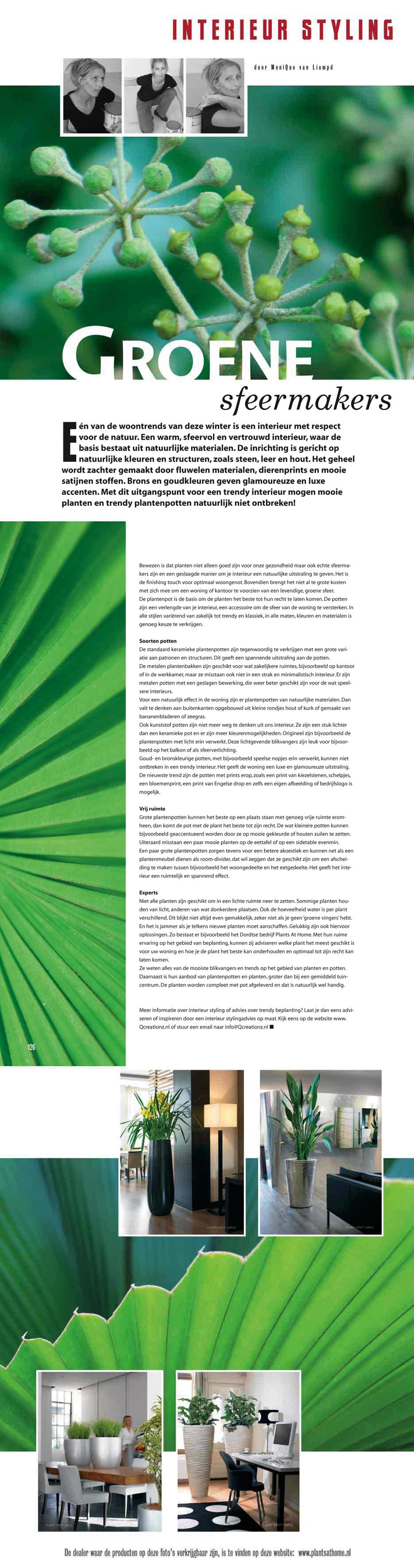 groene sfeermakers, planten, plantinvest, plantenpotten, potten, exclusief, woninginrichting, kantoorinrichting, sfeermaker, groen, sfeermakers