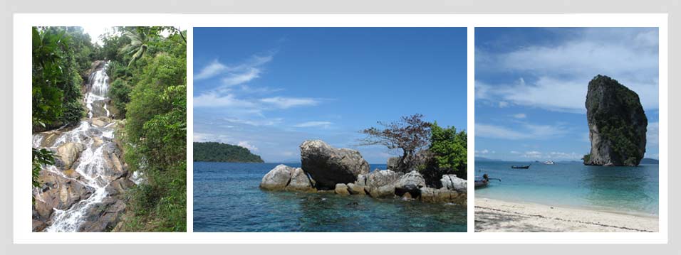 bloemen, bloem, macro, foto, foto's, print, canvas, digitaal, schildersdoek, schilderij, creatief, decoratief, trendy, mode, trends, design, kleuren, monique van liempd, Dordrecht, formaat, leuk, mooi, sfeervol, kunst, Q 